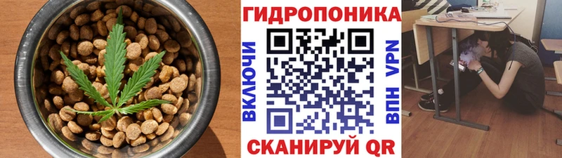 продажа наркотиков  Чулым  Cannafood конопля 
