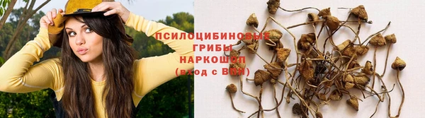 молекула духа Нефтекумск