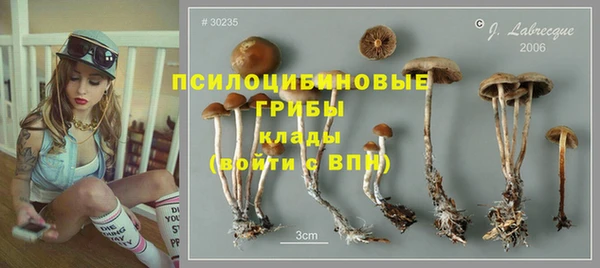 PSILOCYBIN Нея