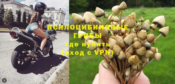 мяу мяу мука Нефтегорск