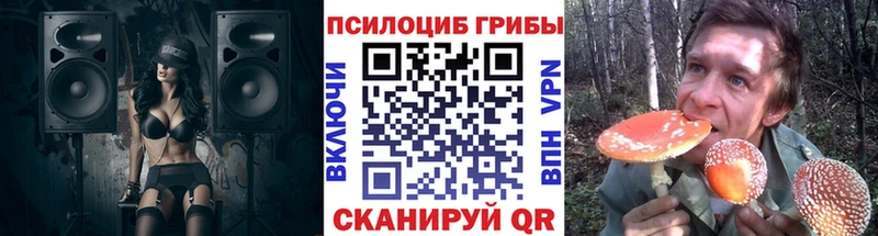 как найти закладки  KRAKEN как войти  Псилоцибиновые грибы Psilocybine cubensis  Чулым 
